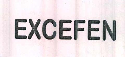 EXCEFEN logo