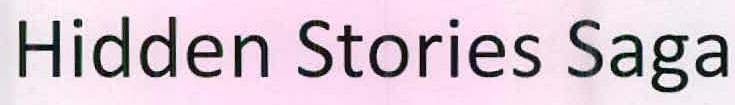 Hidden Stories Saga logo