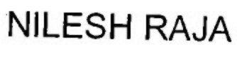 NILESH RAJA logo