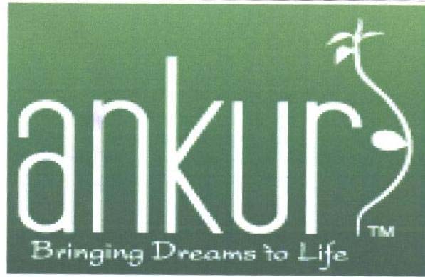 Bringing Dreams to Life logo
