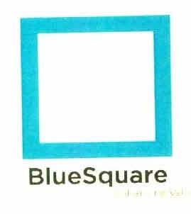 BlueSquare logo