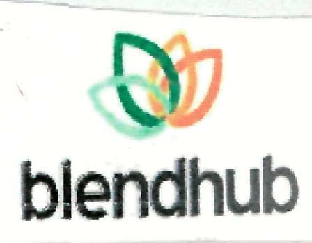 blendhub logo