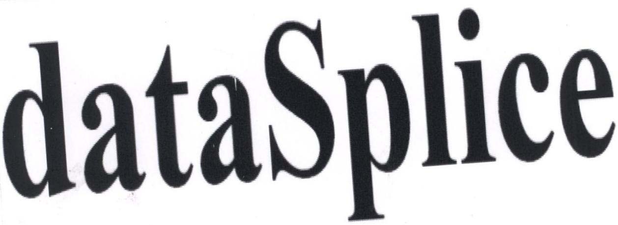 dataSplice logo