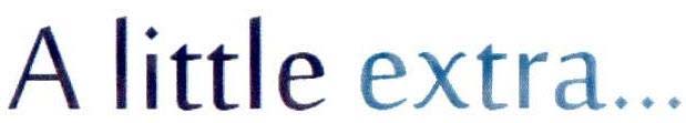 A little extra... logo