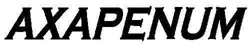 AXAPENUM logo