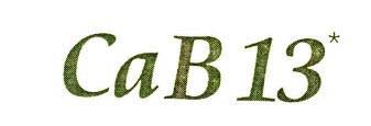 CaB13 logo