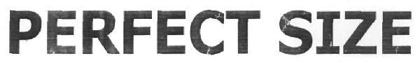 PERFECT SIZE logo