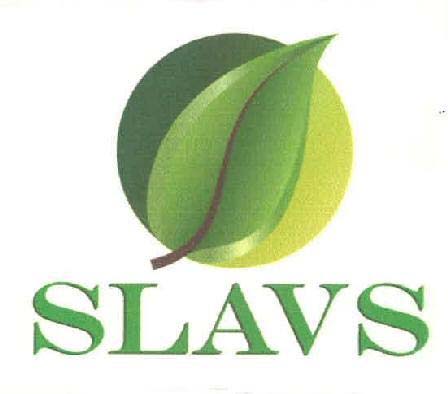 SLAVS logo