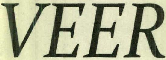 VEER logo