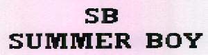 SUMMER BOY logo