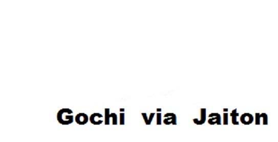 Gochi via Jaiton logo