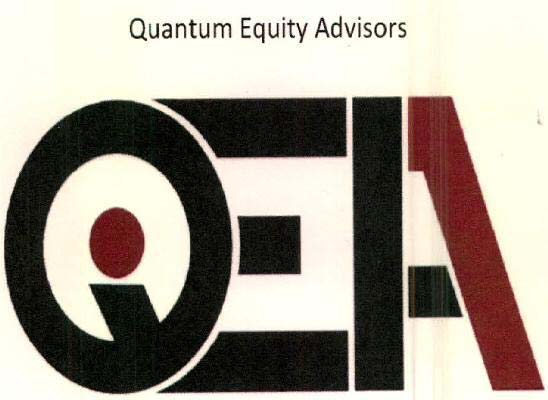 Quantum Equity Advisors logo