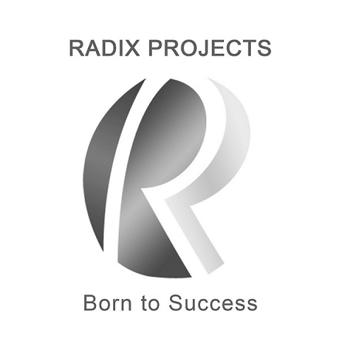 RADIX PROJECTS Born to Success logo