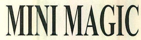 MINI MAGIC logo