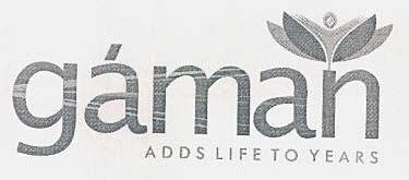 gaman logo