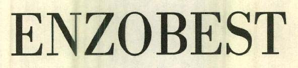 ENZOBEST logo