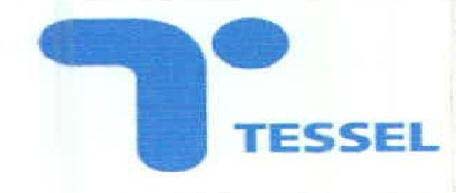 TESSEL logo