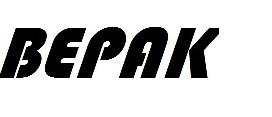 BEPAK logo