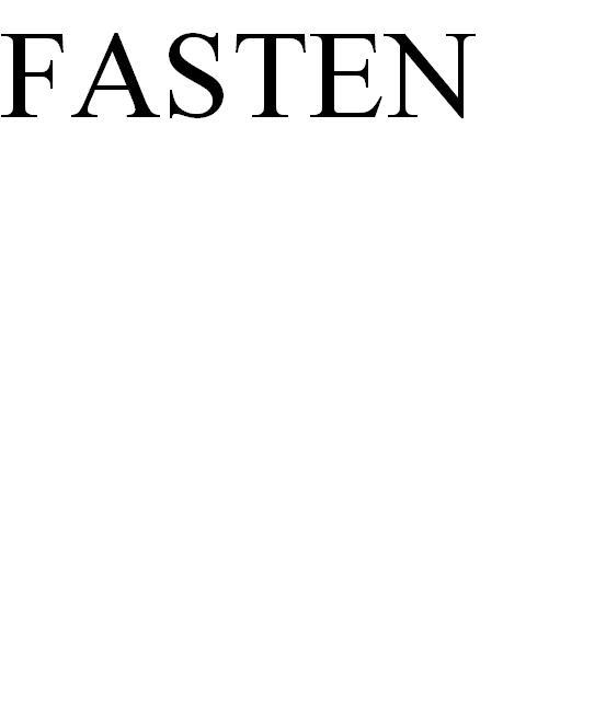 FASTEN logo