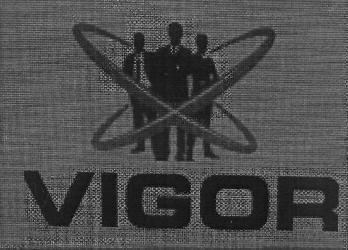 VIGOR logo
