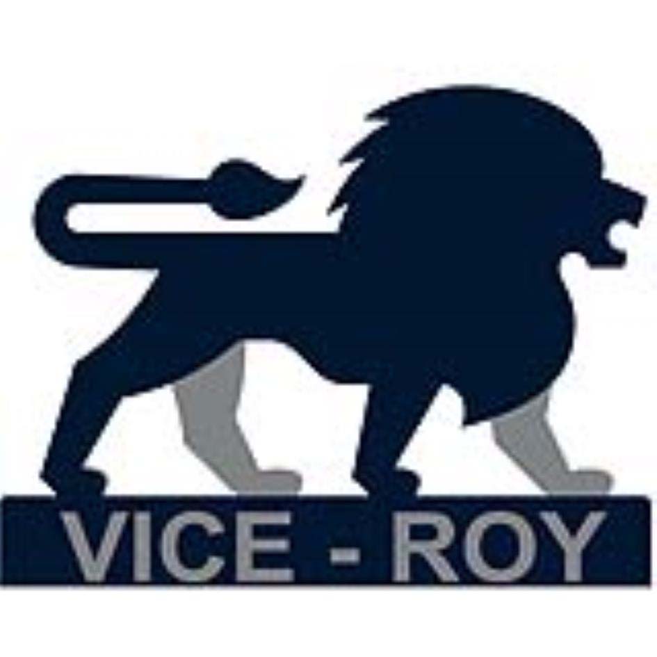 VICE - ROY logo