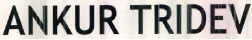 ANKUR TRIDEV logo