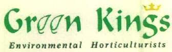 Kings logo