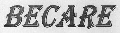 BECARE logo