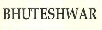 BHUTESHWAR logo
