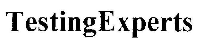 TestingExperts logo