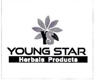 YOUNG STAR logo