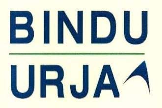BINDU logo