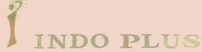 { INDO PLUS logo