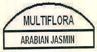 ARABIAN JASMIN logo