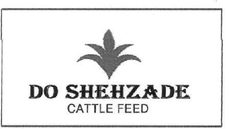DO SHEHZADE CATTLE FEED logo