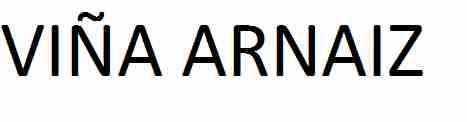 VINA ARNAIZ logo