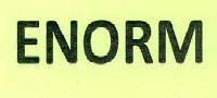 ENORM logo