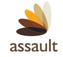 assault logo