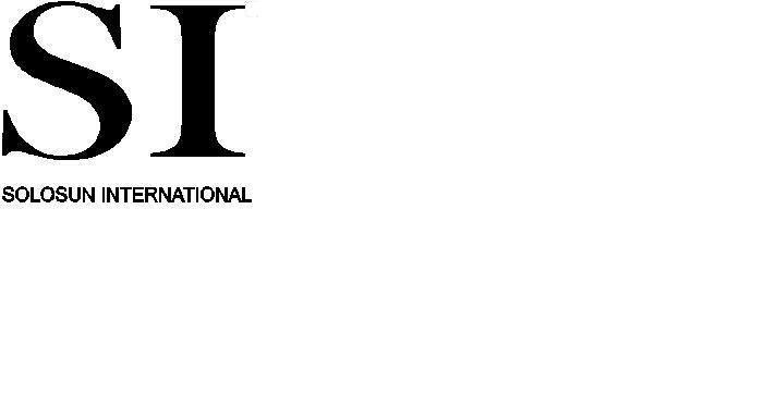 SOLOSUN INTERNATIONAL logo