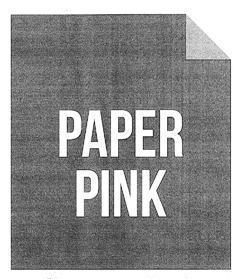 PAPER PINK logo