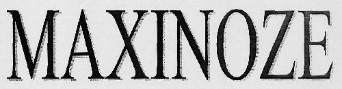 MAXINOZE logo