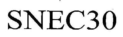 SNEC30 logo