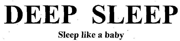 DEEP SLEEP logo