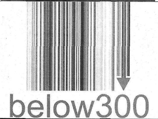 below300 logo