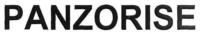 PANZORISE logo