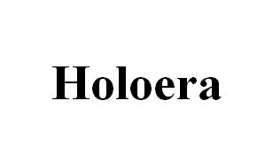 Holoera logo