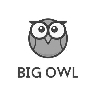 BIG OWL logo