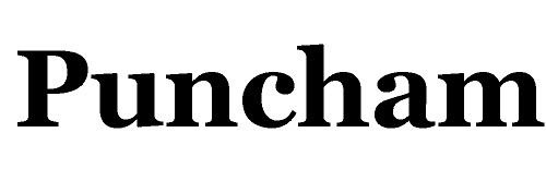 Puncham logo
