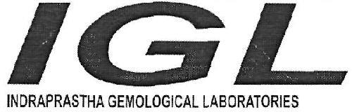 INDRAPRASTHA GEMOLOGICAL LABORATORIES logo