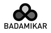 BADAMIKAR logo